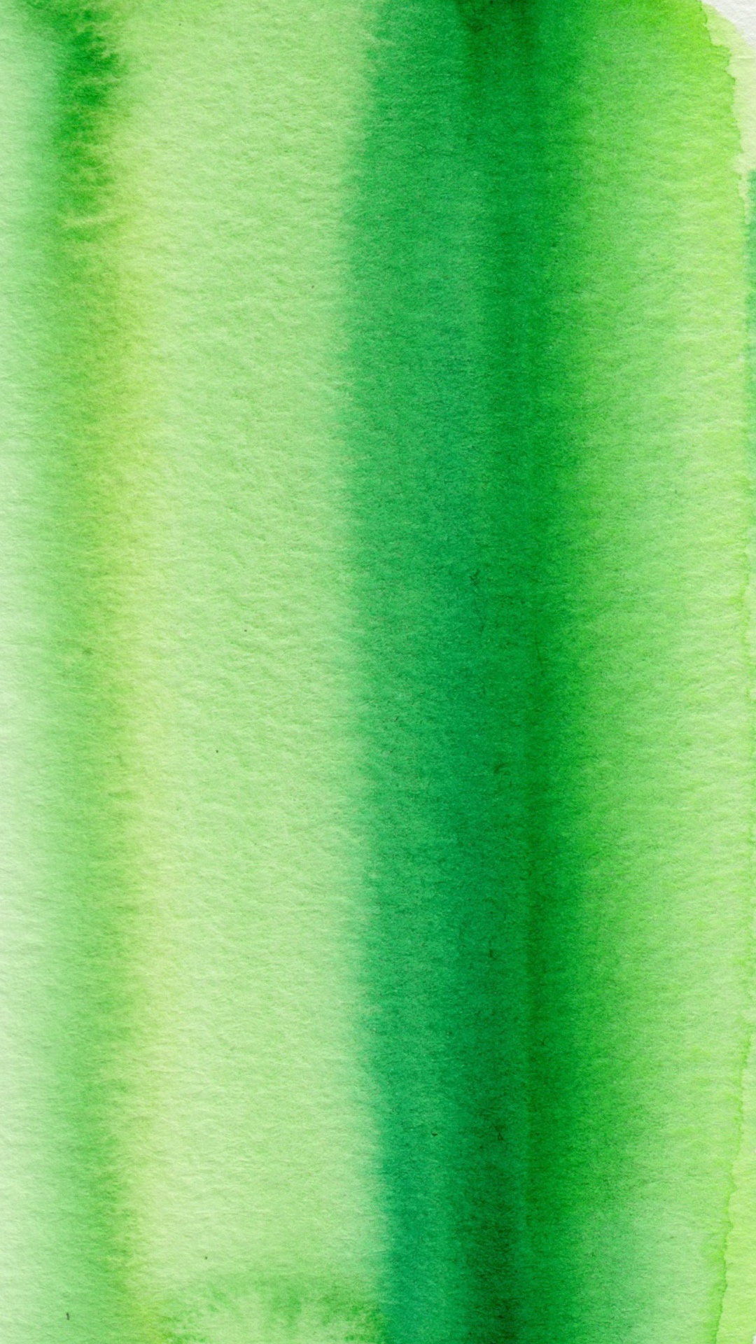 phone wallpaper watercolor cactus