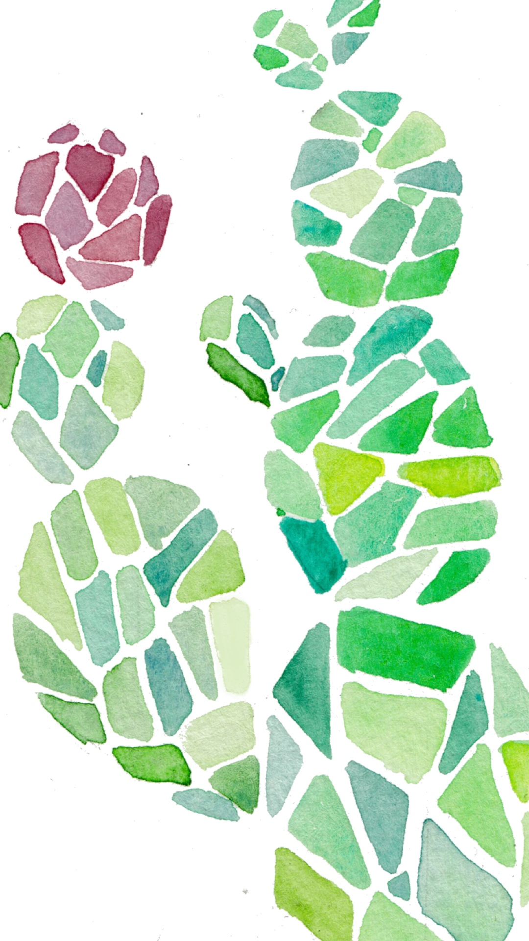 phone wallpaper watercolor cactus