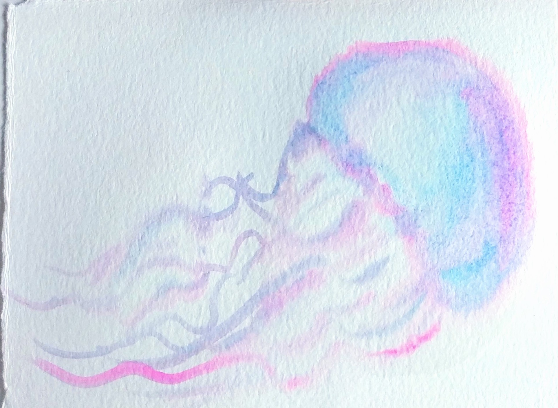 Watercolor Jellyfish 