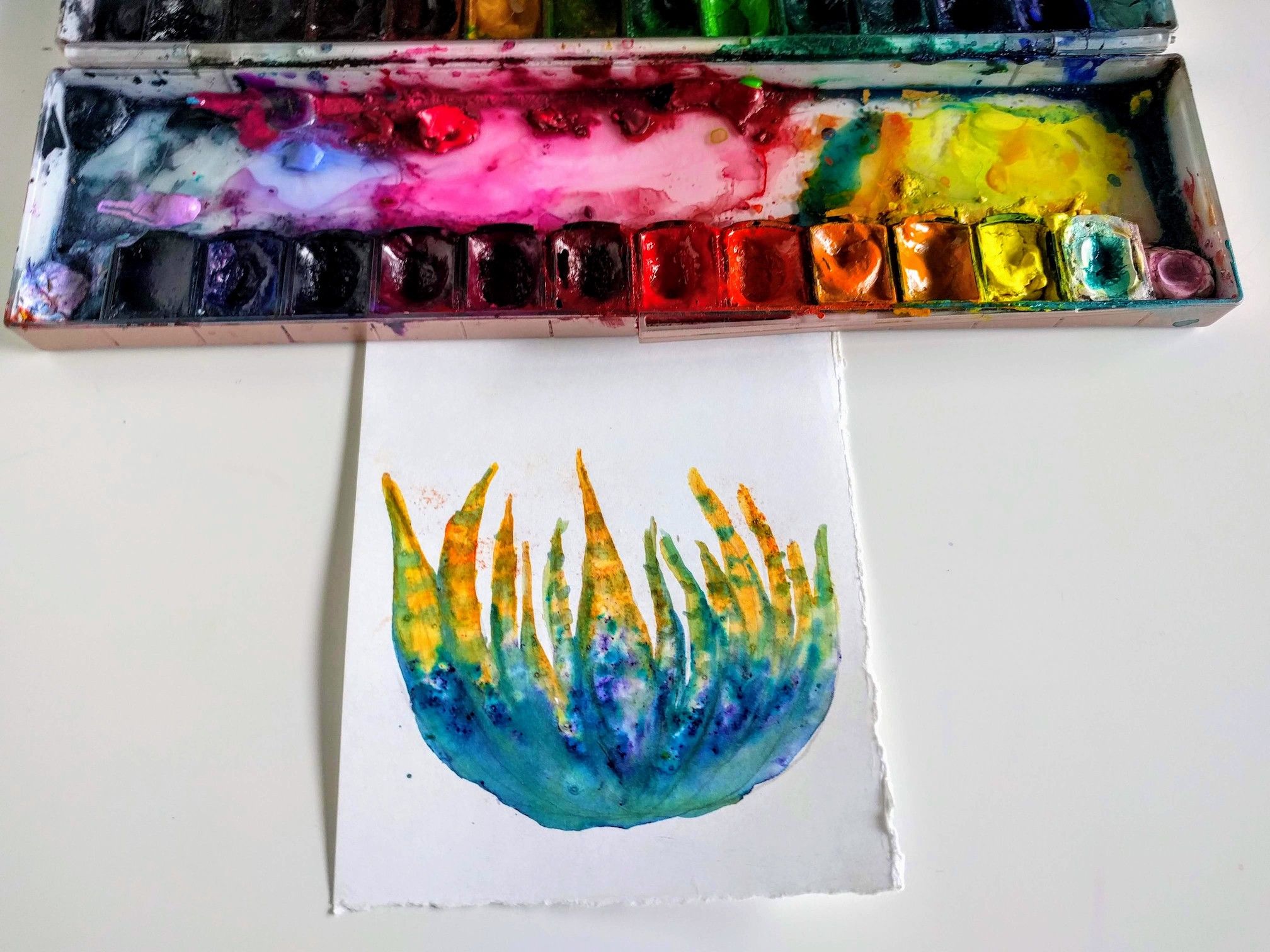 Watercolor Cactus Painting Series - Zebra Cactus With Brusho Crystals