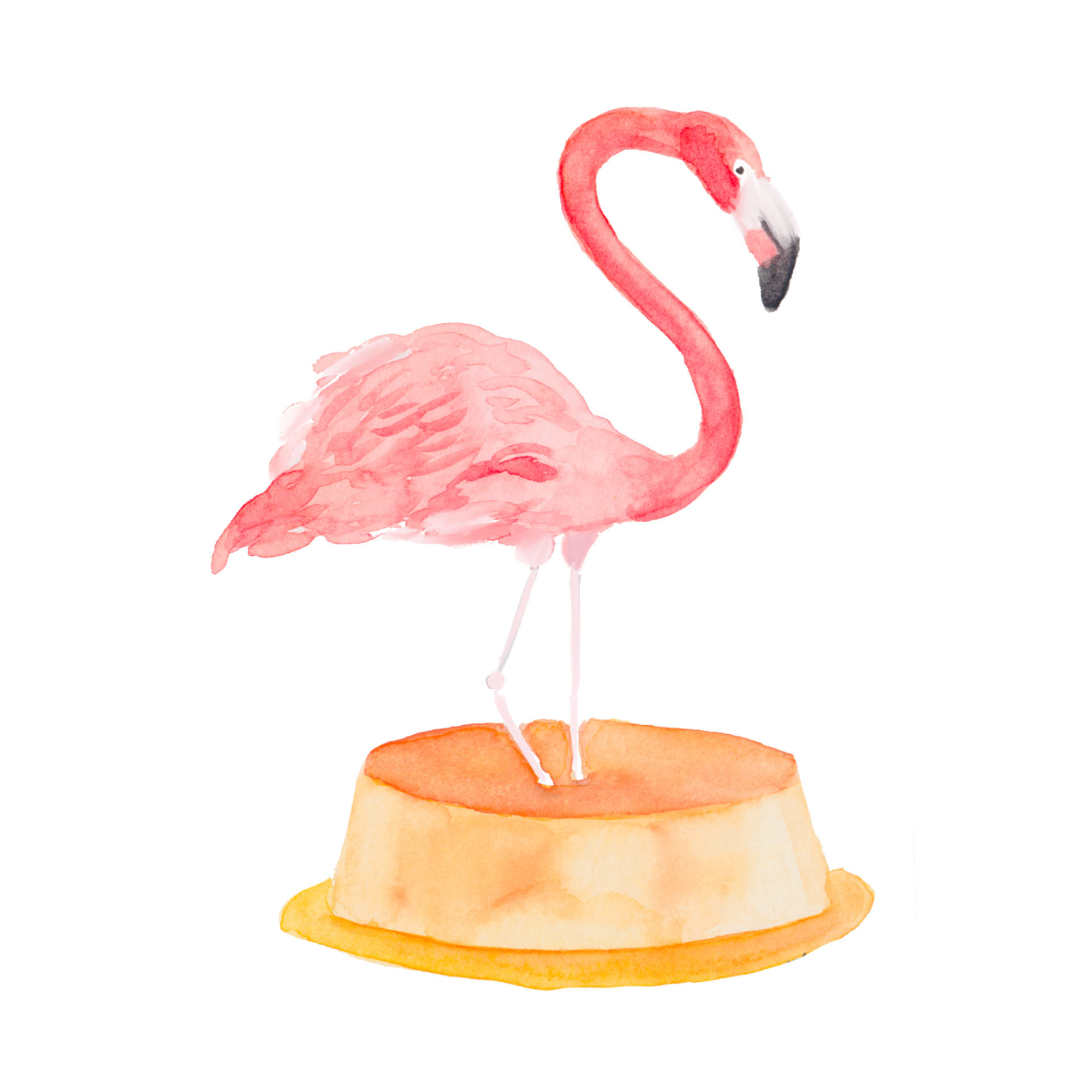 watercolor flamingo on a flan
