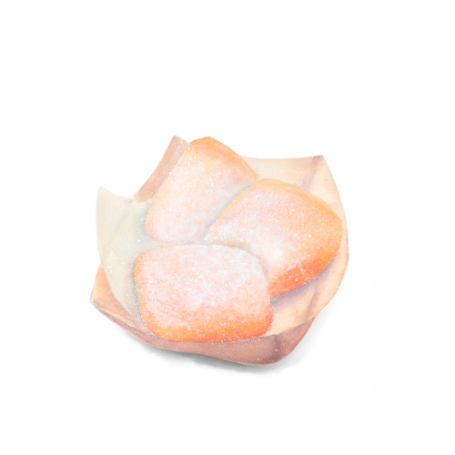 watercolor food illustration  beignet
