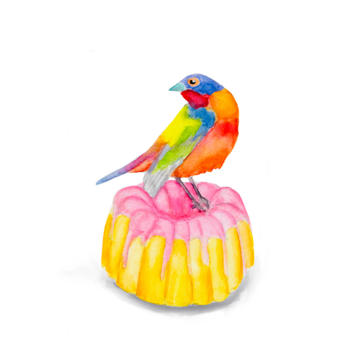 Watercolor bird illustration of a Painted Buntig on a bundt cake.