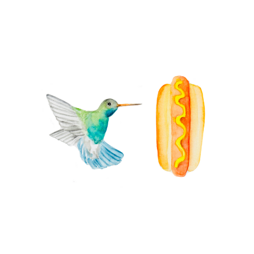 Watercolor bird illustration of a hummingbird with a hotdog.