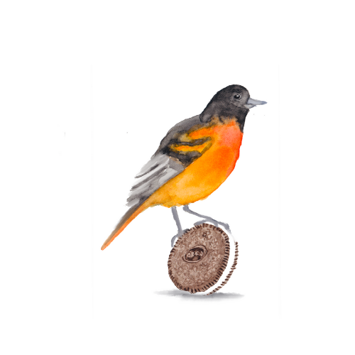 Watercolor bird illustration of an orange bird on an oreo cookie