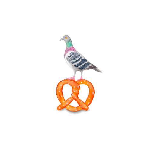 Watercolor pigeon illustration on a pretzel.