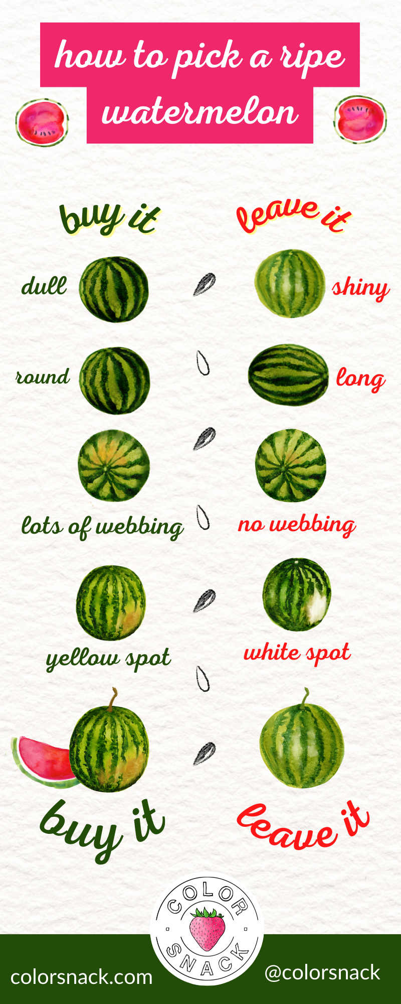 how to pick a ripe watermelon watercolor infographic